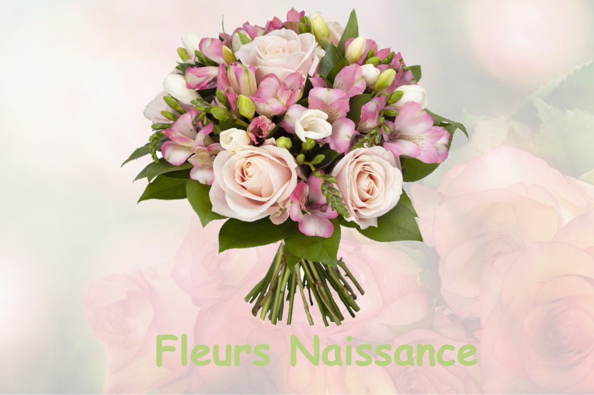 fleurs naissance SEPTSARGES