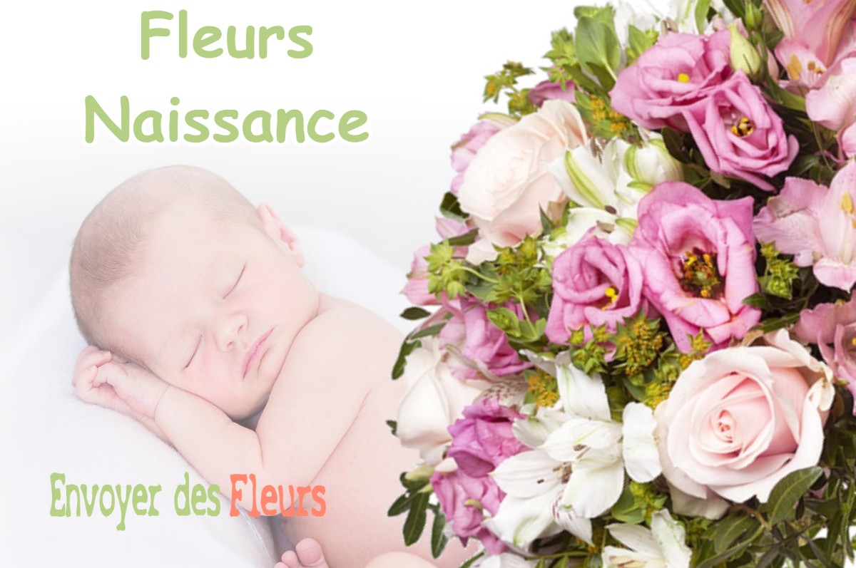 lIVRAISON FLEURS NAISSANCE à SEPTSARGES